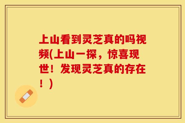 上山看到灵芝真的吗视频(上山一探，惊喜现世！发现灵芝真的存在！)