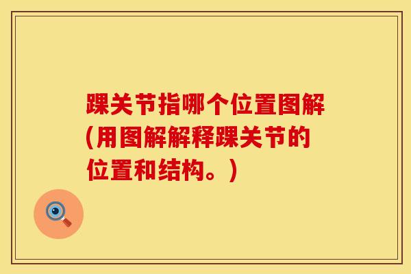 踝关节指哪个位置图解(用图解解释踝关节的位置和结构。)