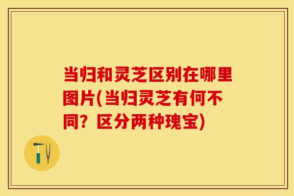 当归和灵芝区别在哪里图片(当归灵芝有何不同？区分两种瑰宝)