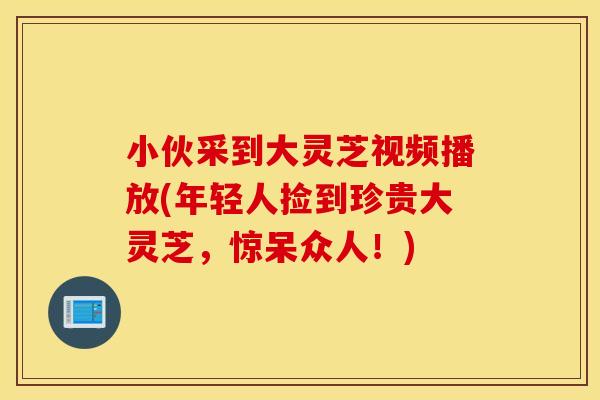 小伙采到大灵芝视频播放(年轻人捡到珍贵大灵芝，惊呆众人！)