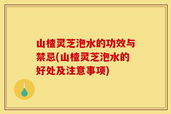 山楂灵芝泡水的功效与禁忌(山楂灵芝泡水的好处及注意事项)