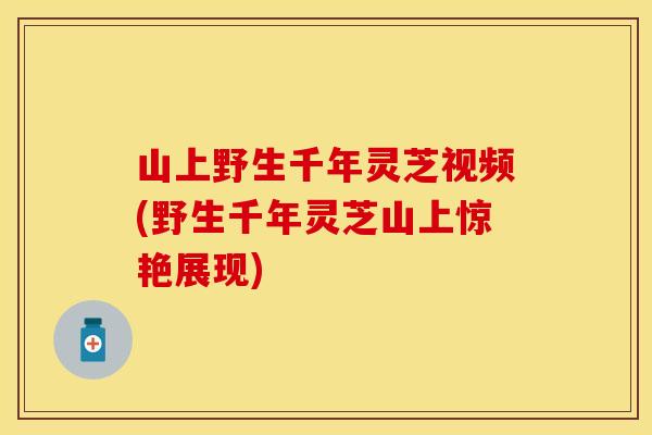 山上野生千年灵芝视频(野生千年灵芝山上惊艳展现)