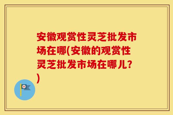 安徽观赏性灵芝批发市场在哪(安徽的观赏性灵芝批发市场在哪儿？)
