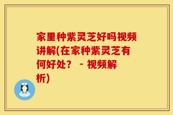 家里种紫灵芝好吗视频讲解(在家种紫灵芝有何好处？ - 视频解析)