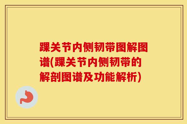 踝关节内侧韧带图解图谱(踝关节内侧韧带的解剖图谱及功能解析)