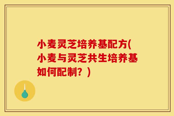 小麦灵芝培养基配方(小麦与灵芝共生培养基如何配制？)