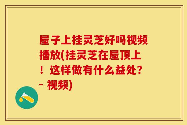 屋子上挂灵芝好吗视频播放(挂灵芝在屋顶上！这样做有什么益处？- 视频)