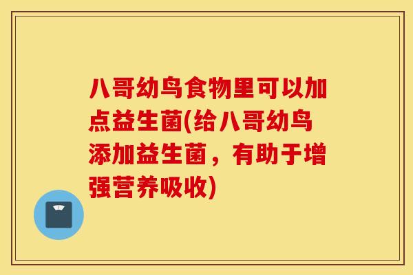 八哥幼鸟食物里可以加点益生菌(给八哥幼鸟添加益生菌，有助于增强营养吸收)