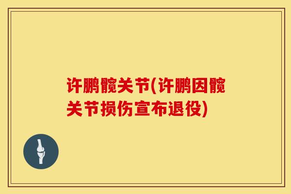 许鹏髋关节(许鹏因髋关节损伤宣布退役) 许鹏髋关节(许鹏因髋关节损伤宣布退役)
