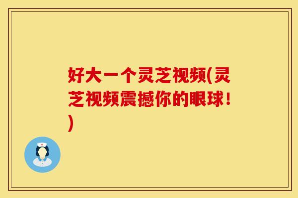 好大一个灵芝视频(灵芝视频震撼你的眼球！)
