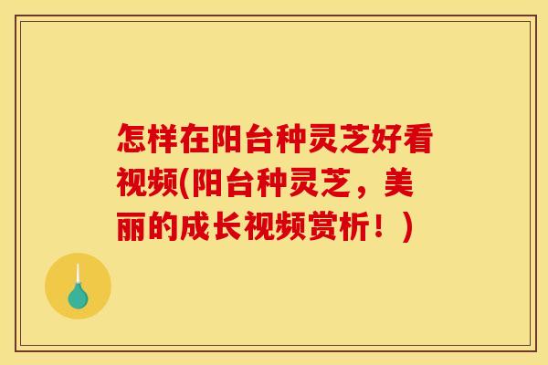 怎样在阳台种灵芝好看视频(阳台种灵芝，美丽的成长视频赏析！)