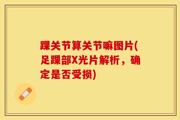 踝关节算关节嘛图片(足踝部X光片解析，确定是否受损)