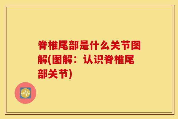 脊椎尾部是什么关节图解(图解：认识脊椎尾部关节)