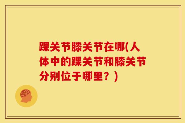 踝关节膝关节在哪(人体中的踝关节和膝关节分别位于哪里？)
