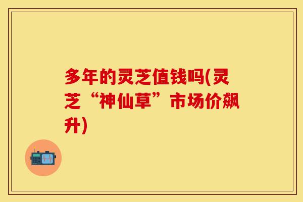 多年的灵芝值钱吗(灵芝“神仙草”市场价飙升)