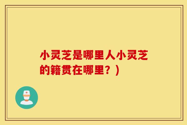 小灵芝是哪里人小灵芝的籍贯在哪里？)