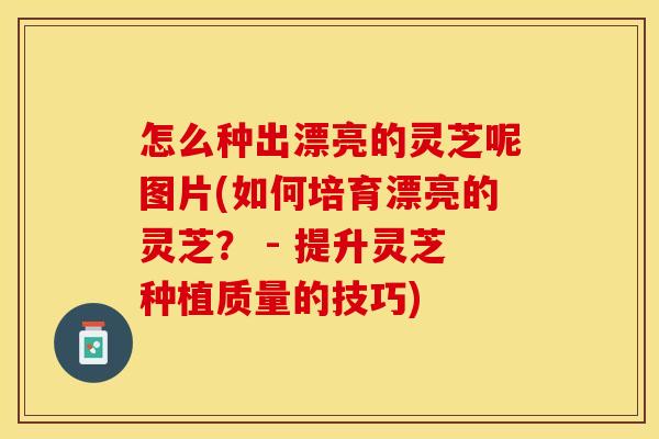 怎么种出漂亮的灵芝呢图片(如何培育漂亮的灵芝？ - 提升灵芝种植质量的技巧)