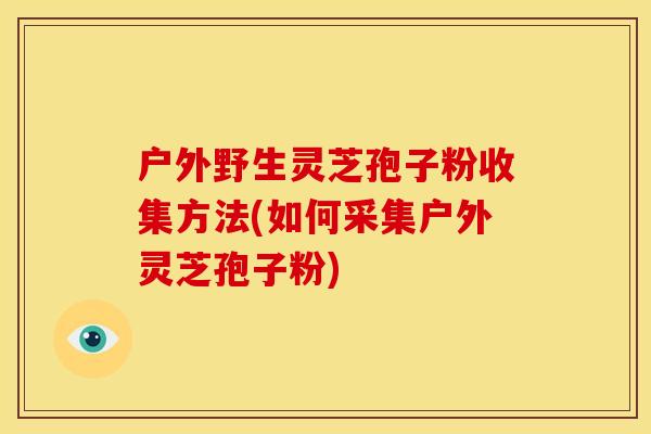 户外野生灵芝孢子粉收集方法(如何采集户外灵芝孢子粉)