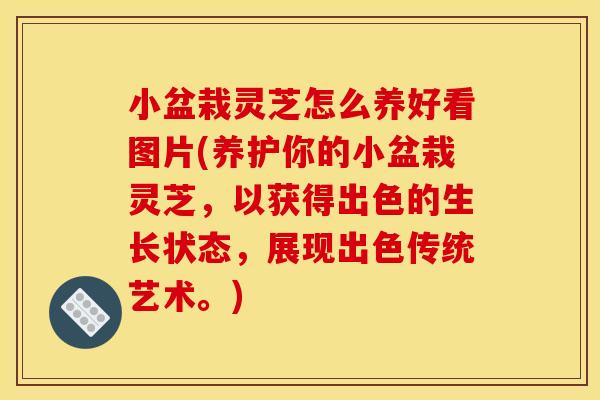 小盆栽灵芝怎么养好看图片(养护你的小盆栽灵芝，以获得出色的生长状态，展现出色传统艺术。)