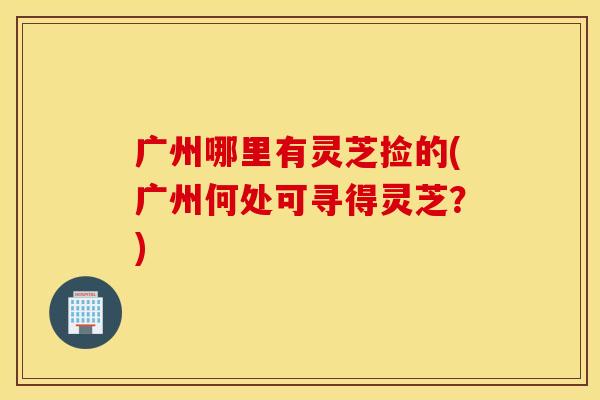 广州哪里有灵芝捡的(广州何处可寻得灵芝？)