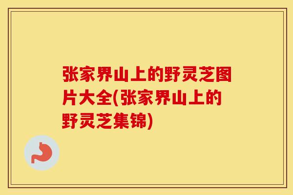 张家界山上的野灵芝图片大全(张家界山上的野灵芝集锦)