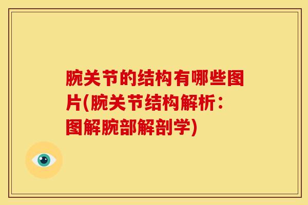 腕关节的结构有哪些图片(腕关节结构解析：图解腕部解剖学)