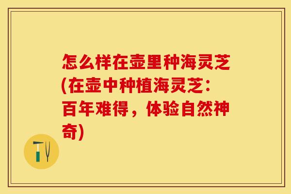 怎么样在壶里种海灵芝(在壶中种植海灵芝：百年难得，体验自然神奇)
