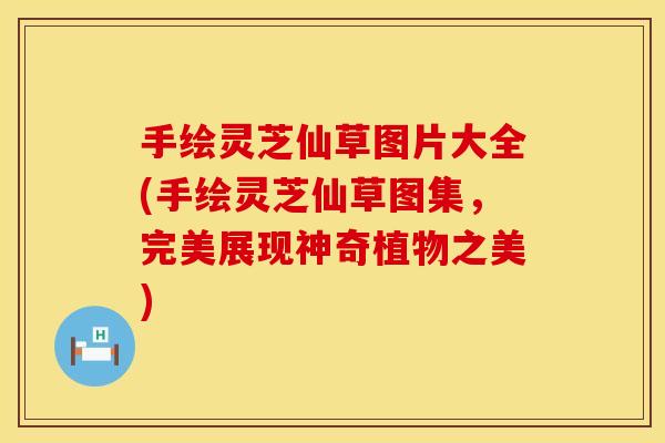 手绘灵芝仙草图片大全(手绘灵芝仙草图集，完美展现神奇植物之美)