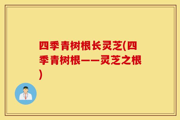 四季青树根长灵芝(四季青树根——灵芝之根)