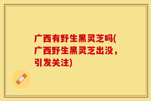 广西有野生黑灵芝吗(广西野生黑灵芝出没，引发关注)