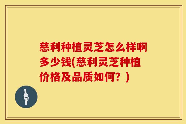 慈利种植灵芝怎么样啊多少钱(慈利灵芝种植价格及品质如何？)