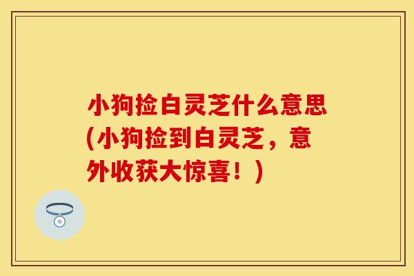 小狗捡白灵芝什么意思(小狗捡到白灵芝，意外收获大惊喜！)