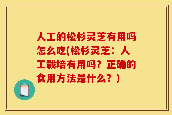 人工的松杉灵芝有用吗怎么吃(松杉灵芝：人工栽培有用吗？正确的食用方法是什么？)