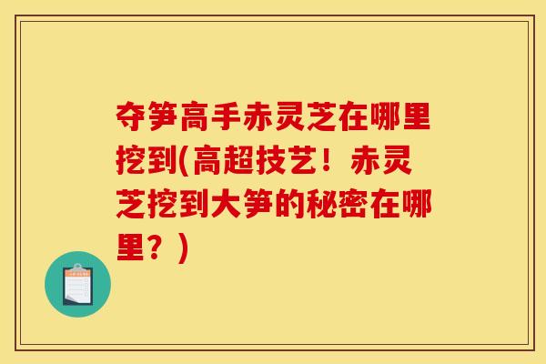 夺笋高手赤灵芝在哪里挖到(高超技艺！赤灵芝挖到大笋的秘密在哪里？)