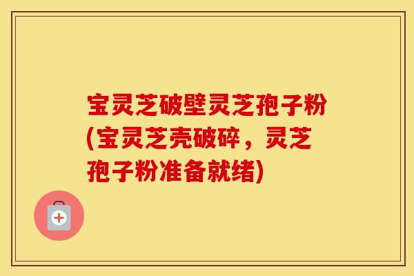 宝灵芝破壁灵芝孢子粉(宝灵芝壳破碎，灵芝孢子粉准备就绪)