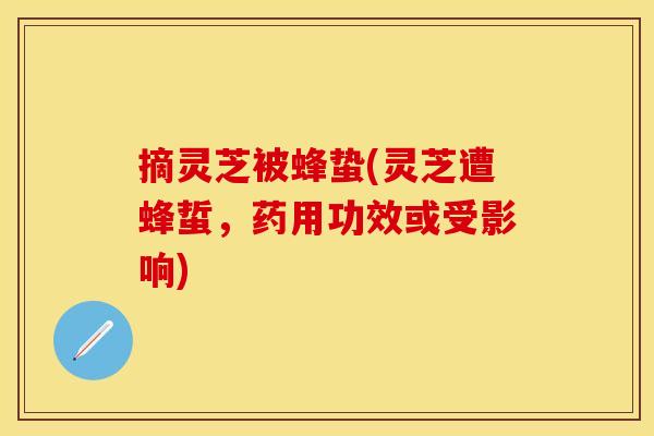 摘灵芝被蜂蛰(灵芝遭蜂蜇，药用功效或受影响)
