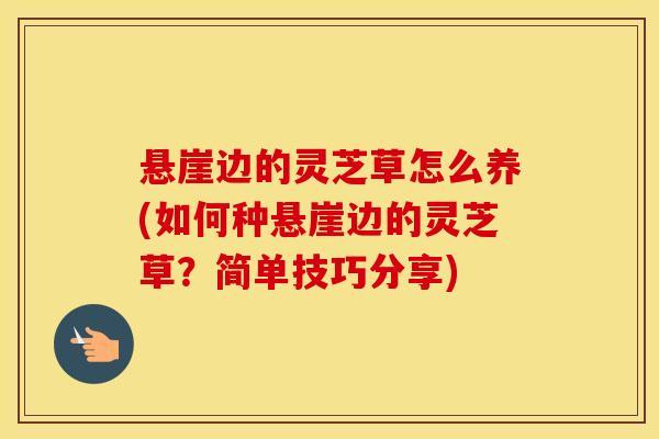 悬崖边的灵芝草怎么养(如何种悬崖边的灵芝草？简单技巧分享)