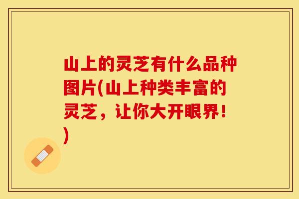 山上的灵芝有什么品种图片(山上种类丰富的灵芝，让你大开眼界！)