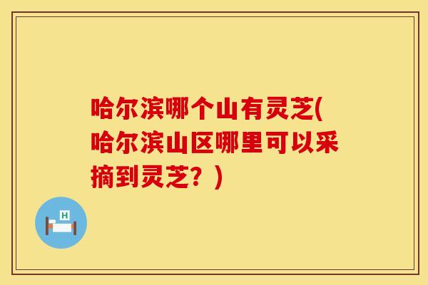 哈尔滨哪个山有灵芝(哈尔滨山区哪里可以采摘到灵芝？)