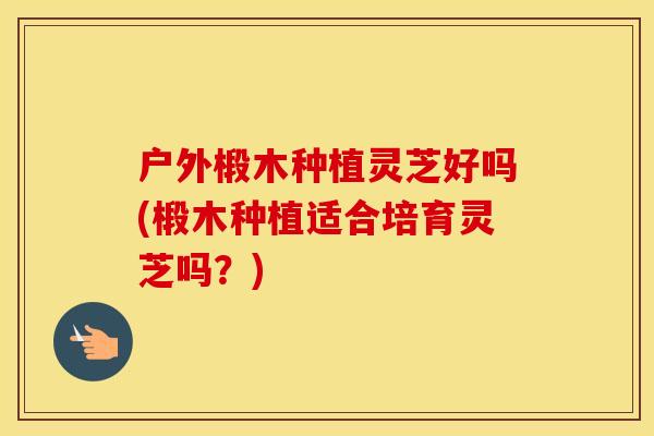 户外椴木种植灵芝好吗(椴木种植适合培育灵芝吗？)