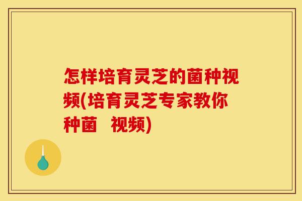 怎样培育灵芝的菌种视频(培育灵芝专家教你种菌  视频)