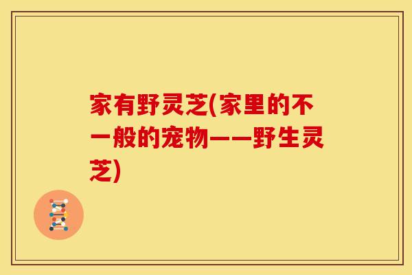 家有野灵芝(家里的不一般的宠物——野生灵芝)