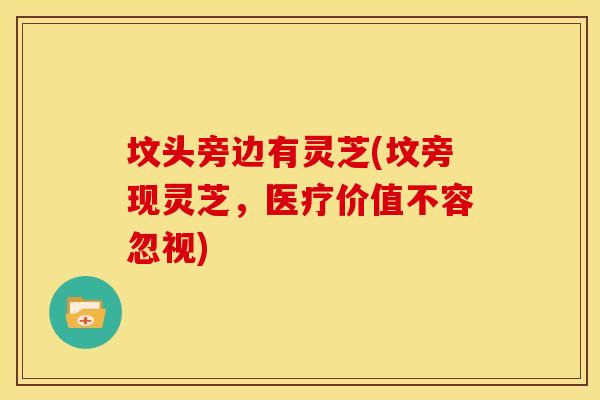 坟头旁边有灵芝(坟旁现灵芝，医疗价值不容忽视)