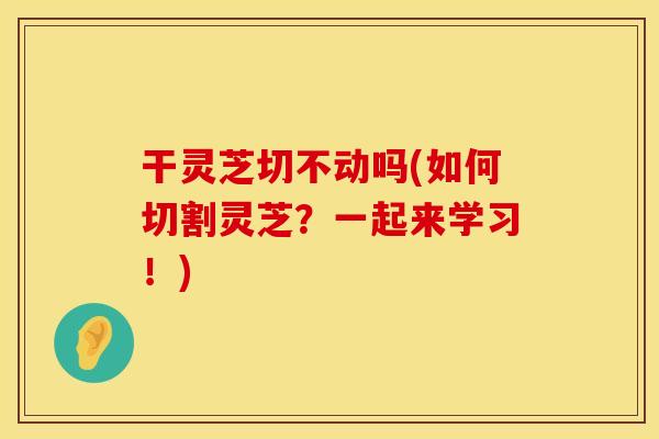 干灵芝切不动吗(如何切割灵芝？一起来学习！)