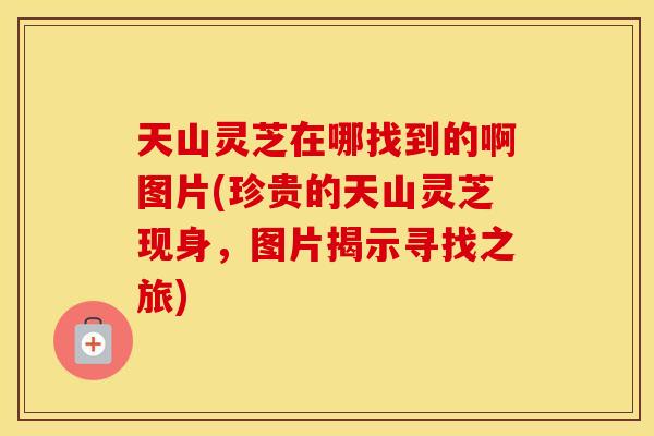 天山灵芝在哪找到的啊图片(珍贵的天山灵芝现身，图片揭示寻找之旅)