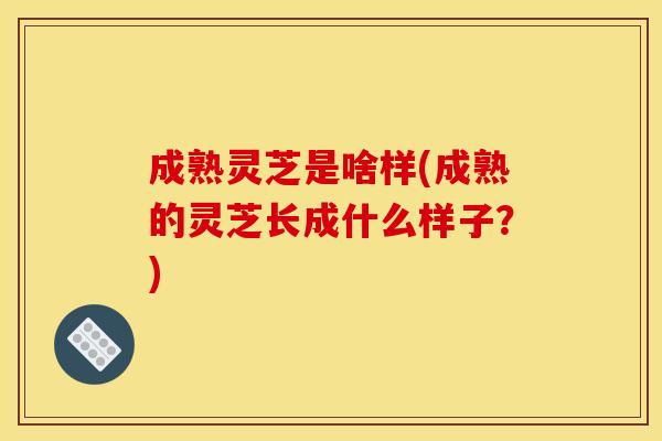 成熟灵芝是啥样(成熟的灵芝长成什么样子？)