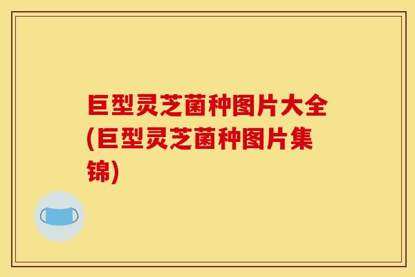 巨型灵芝菌种图片大全(巨型灵芝菌种图片集锦)