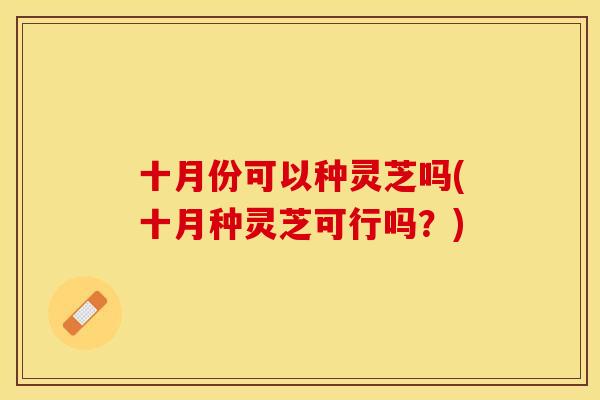 十月份可以种灵芝吗(十月种灵芝可行吗？)