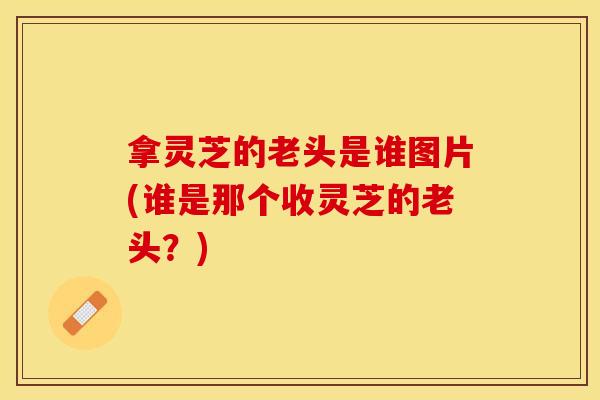 拿灵芝的老头是谁图片(谁是那个收灵芝的老头？)