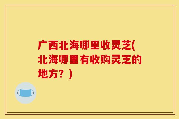 广西北海哪里收灵芝(北海哪里有收购灵芝的地方？)